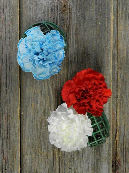 Patriotic Carnation  Assorted Combo Box
